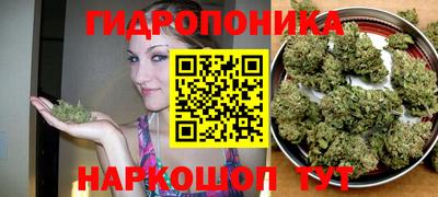 наркотики Будённовск